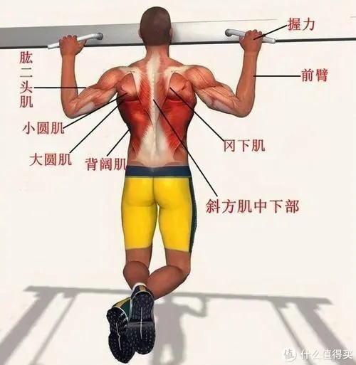 PP電子芯片集團，物聯(lián)網(wǎng)關(guān)主機是什么樣子的